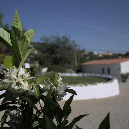 Cosy Farmhouse Quinta Da Eira 140 Years Old لول المظهر الخارجي الصورة