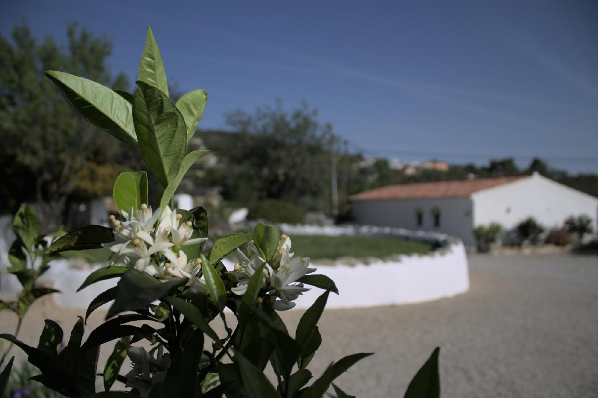 Cosy Farmhouse Quinta Da Eira 140 Years Old لول المظهر الخارجي الصورة